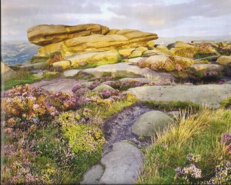 Landscrape - weeds, clouds, rocks, sky