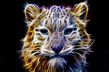 Cheetah - cheetah, cats, animals, glow