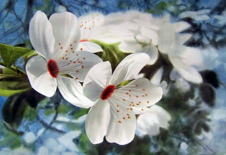 Spring blossoms - nice, fragrance, water, flowering, spring, painting, art, pretty, blossoms, reflection, petals, scent, blooming, lovely, beautiful, leaves, flowers