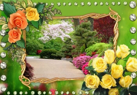 Path to Spring time - path, blossom, flowering bush, yellow rose, pink rose