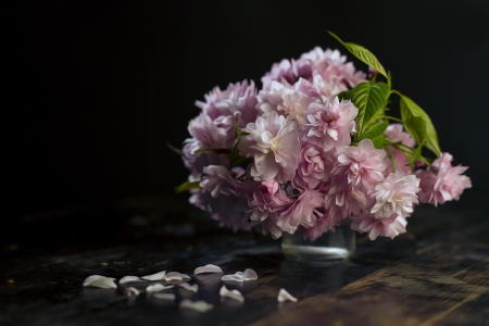 Blossom - petals, pink, blossom, bouquet, still life