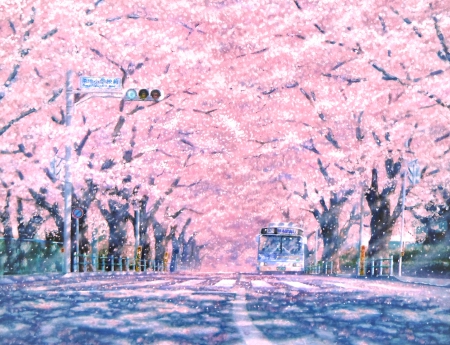 Sakura Street - japan, sakura, scenery, road, orginal