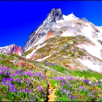 SAHALE MOUNTAIN GLORY