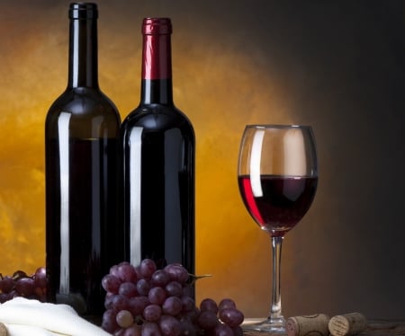 Wine - drink, wine, wine bottle, grape, grapes, bottle, bottles, drinks, red wine