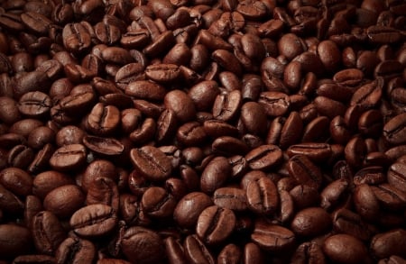 Coffee Beans - coffee bean, coffee beans, brown, coffee, food