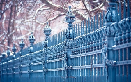 Fence - winter, city, metal, fence