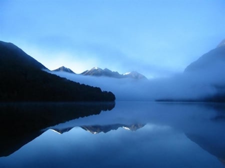 New Zealand - misty, fog, lucid, cloudy