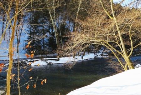 Touches of Autumn in the Winter - lake, water, winter, stream, creek, snow winter, nature, snow, tree, state park