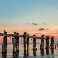 broken wooden supports off shore