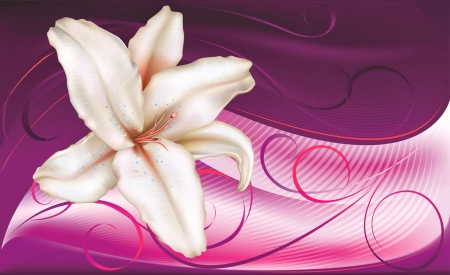 Floral background - lilium, pretty, beautiful, floral, background, flower, art, pink