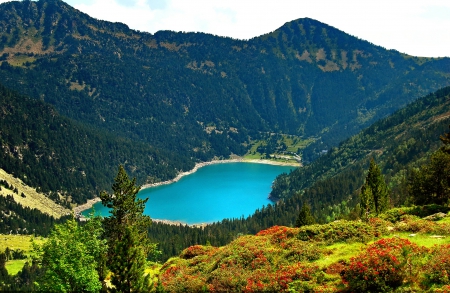 Mountain lake - lake, landscape, hills, trees, mountain, nature, view, beautiful, flowers, wildflowers