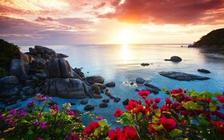 Beautiful scenery - nature, sky, flowers, sea