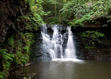 Waterfalls - nature, water, trees, watefall