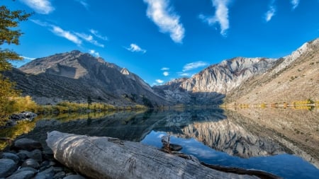 beautiful mirrored mountain lake - logs, mirror, lake, mountains, rocks, sky