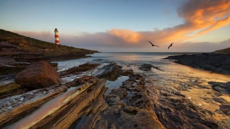 lighthouse above a rocky sea inlet - cliff, lighthouse, rocks, clouds, inlet, sea, birds