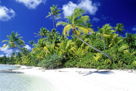 Palm Beach - Solomon Islands - white sand, nature, coast, palm trees, ocean