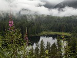 Deserted lake