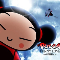 pucca 