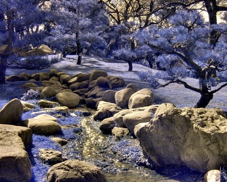 Japanese Garden - photography, trees, rocks, color