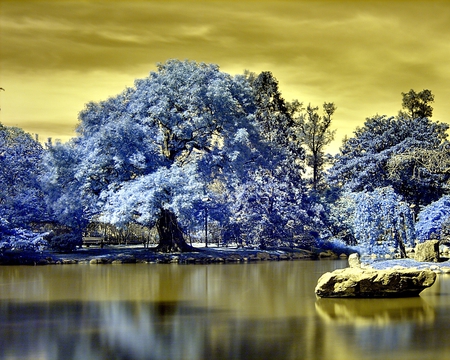 Japanese Garden - sky, lake, trees, photography, color