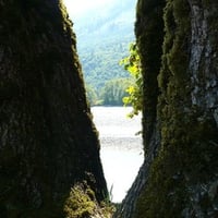 Looking Through the Fork