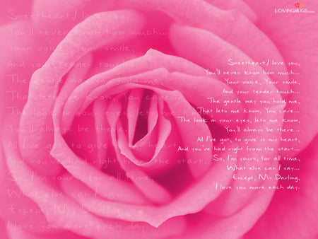 Loving Poems - rose, pink