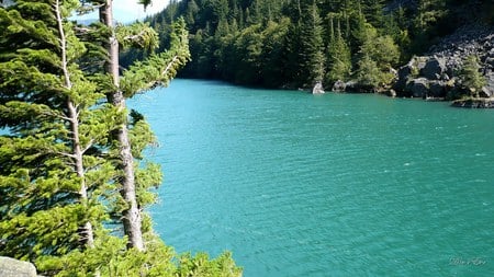 Diablo Lake 1 - widescreen, trees, water, green, lake, washington