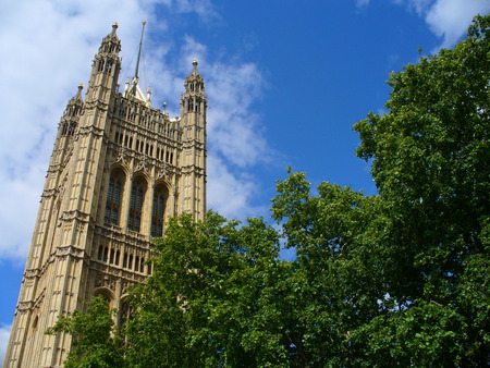 Houses of Parliament, London, UK - parliament, british, united kingdom, tree, sky