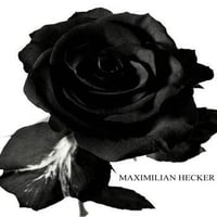 Black Rose