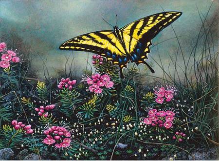 Swallowtail Butterfly - misty, yellow swallowtail butterfly, garden, pink flowers, art