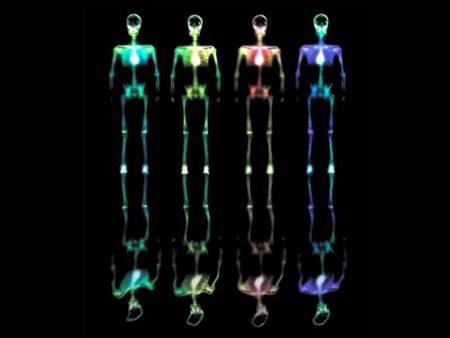 Four Rainbow Skeletons - x-ray, rainbow, colored, four, sketetons