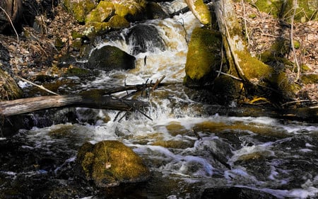 Rapid waters - nature, falls