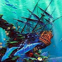 Dolphin Shipwreck