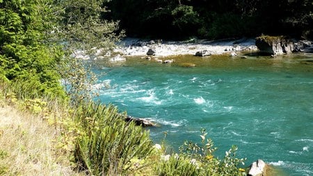 Bank of Skagit - fall, river, water, green, widescreen, washington