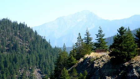 Diablo Overlook - gorge, trees, mountains, widescreen, washington