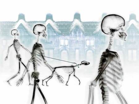 Rumbustious Street Skelleton Walking a Dog - dog, houses, skeletons, walking