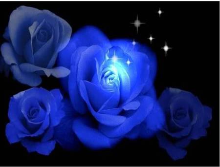 Deep blue roses - sparkles, on black, blue roses