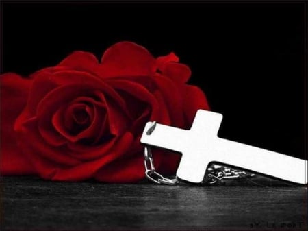 FAITH - cross, place, rose, red