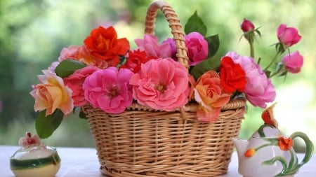 Basket - nature, roses, baskets, flowers, basket, rose, flower