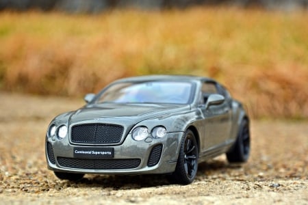 Bentley Continental Supersports - bentley continental, bentley supersports, bentley, bentley continental supersports