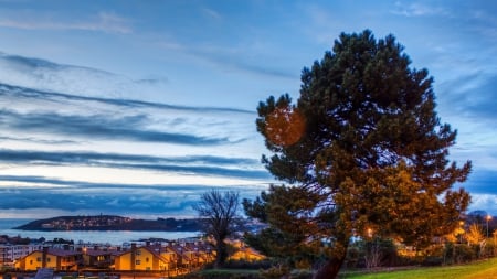 harbor in la curona spain at dusk hdr - haebor, dusk, hill, town, lights, rays, tree, hdr