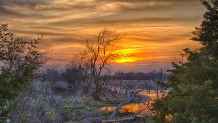 golden sky reflecting on a river hdr - river, trees, sunset, snags, hdr, gold, reflection