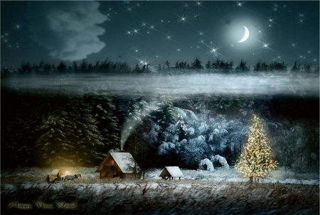 Winter night - moon, night, tree, mistery