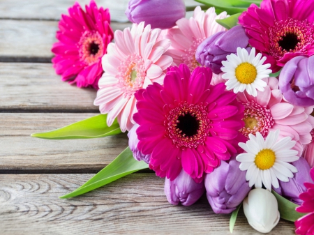 Flowers - pretty, beautiful, flowers, spring, bouquet, leaves, petals, freshness, gerberas, lovely, daisies, colorful