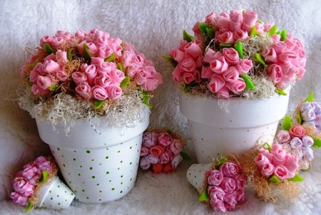 rose pots