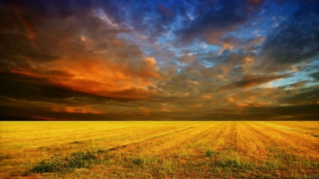 cloudy sunset cornfield - fields, sky, wallpaper, sunset, dark blue and golden clouds, nature, clouds, corn field, eve, new