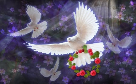 White Doves and Roses - sky, dove, viola tricolor, roses, peace, light, design, fantasy, heaven, doves, art, flowers