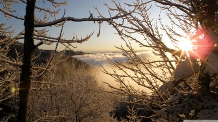 Mountain landscape - frosty, sun, mountains, frosted, mist, frozen, tree, scene, landscape, sunlight, light, winter, wallpaper, hd, nature, forest, frost, fog