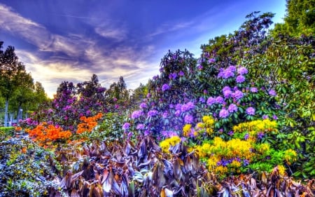 SPRING FLOWERS - sky, mountain, hdr, flowers, colors, spring