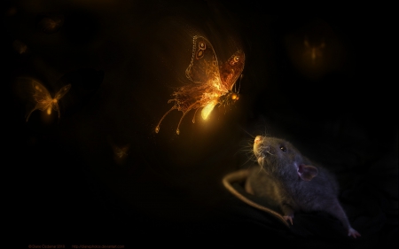 Surprise! - photomanipulation, background, light, wings, black, butterfly, insect, animal, mouse, fly